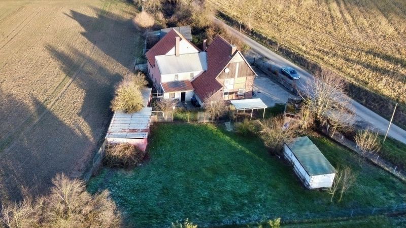 Wohnen im Grünen: Viel Platz, Ruhe und Möglichkeiten für Tierliebhaber